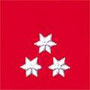 Hauptfeuerwehrmann